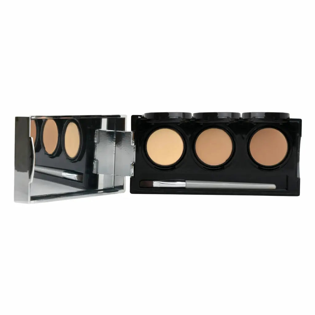 dermaflage pro concealer palette